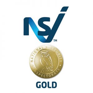 NSI-Gold-Logo